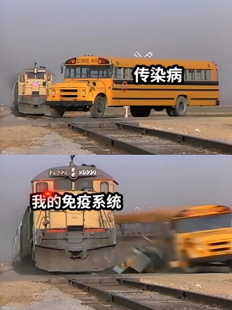 DƬ
